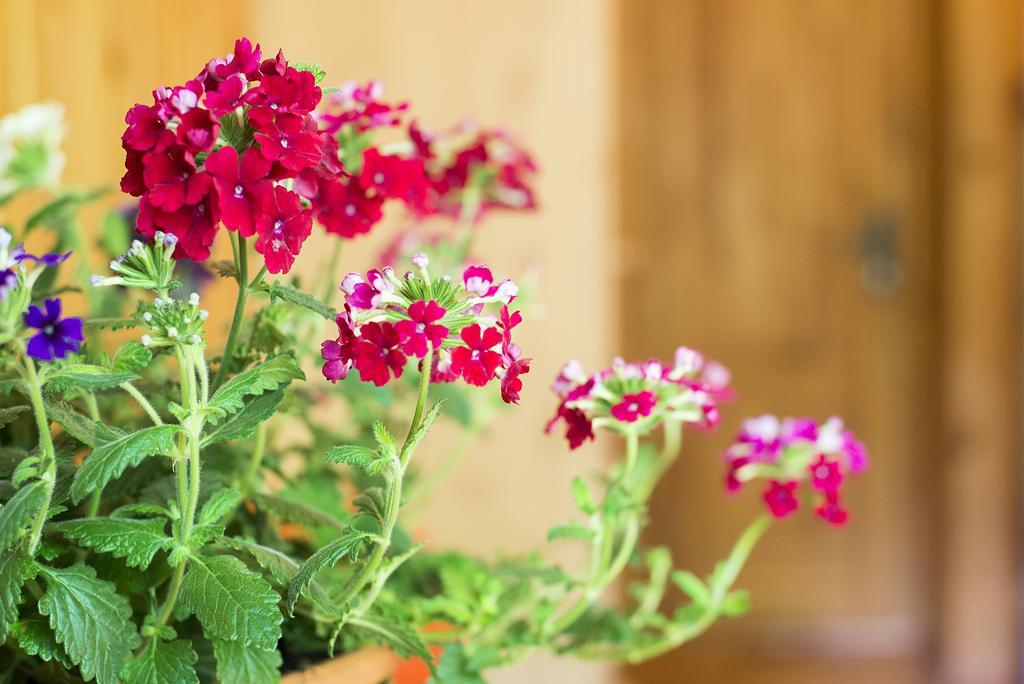 Green Jurmala Hostel Екстериор снимка